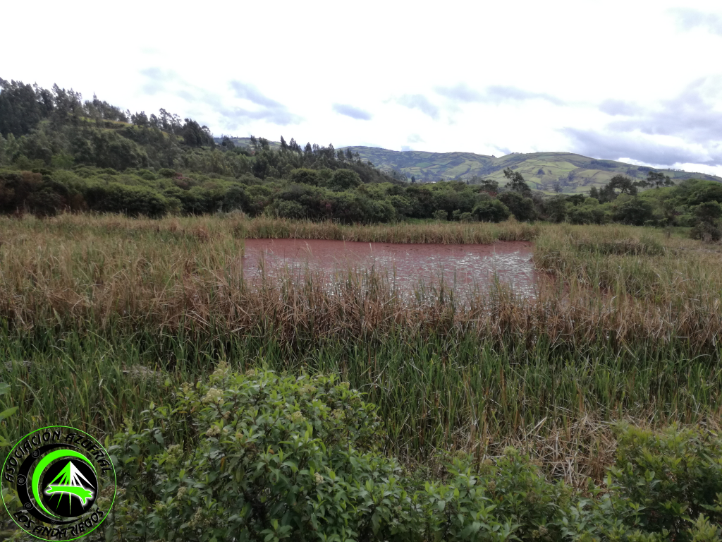 IMG_20190630_103403_1